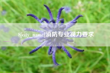 新野消防专业视力要求