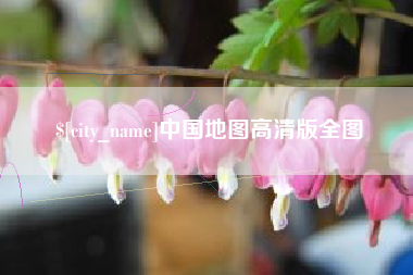 新野中国地图高清版全图