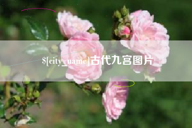 新野古代九宫图片