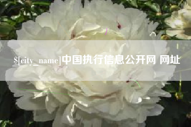 新野中国执行信息公开网 网址