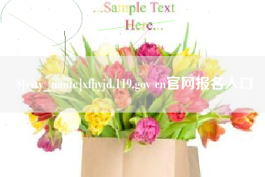 新野xfhyjd.119.gov cn官网报名入口