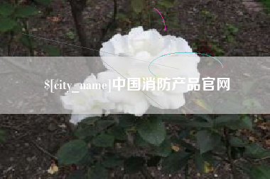 新野中国消防产品官网