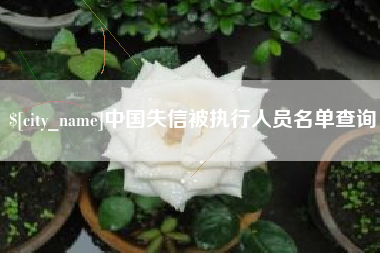 新野中国失信被执行人员名单查询