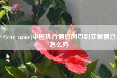 新野中国执行信息网查到立案信息怎么办