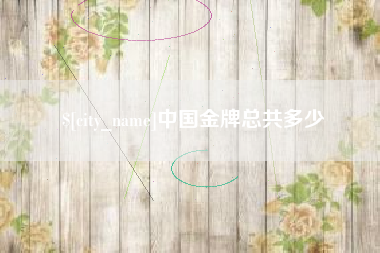 新野中国金牌总共多少