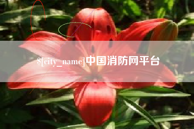 新野中国消防网平台