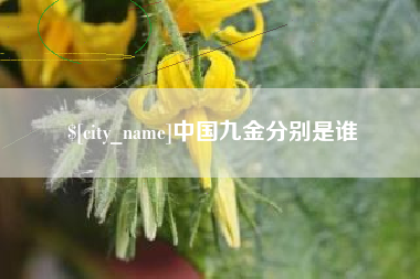 新野中国九金分别是谁