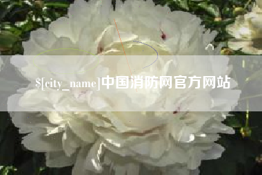 新野中国消防网官方网站