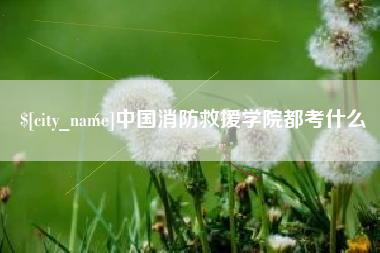 新野中国消防救援学院都考什么