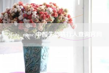 新野中国失信执行人查询官网