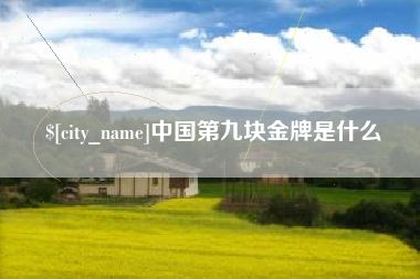 新野中国第九块金牌是什么