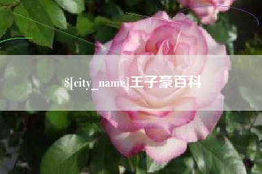 新野王子豪百科
