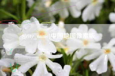 新野中国地图像素版