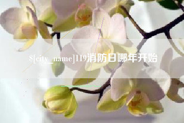 新野119消防日哪年开始