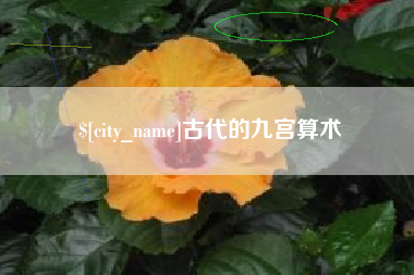 新野古代的九宫算术