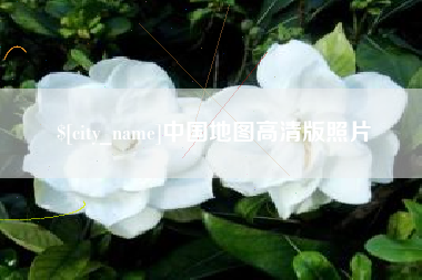 新野中国地图高清版照片