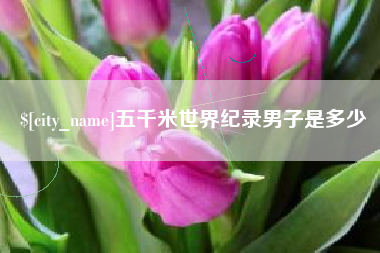 新野五千米世界纪录男子是多少