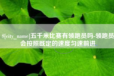 新野五千米比赛有领跑员吗-领跑员会按照既定的速度匀速前进