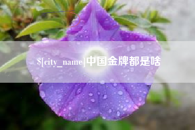 新野中国金牌都是啥