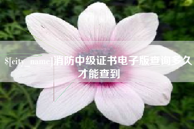 新野消防中级证书电子版查询多久才能查到