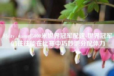 新野5000米世界冠军配速-世界冠军们往往能在比赛中巧妙地分配体力