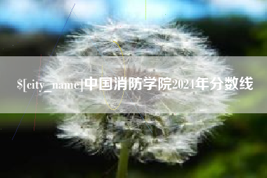 新野中国消防学院2024年分数线