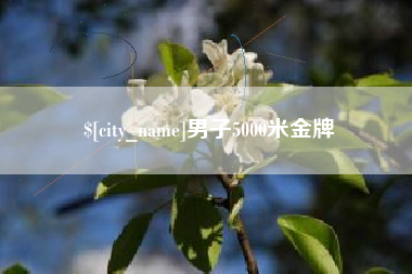 新野男子5000米金牌
