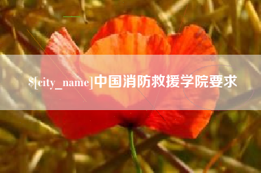 新野中国消防救援学院要求