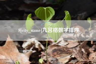 新野九宫格数字排序
