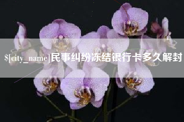 新野民事纠纷冻结银行卡多久解封