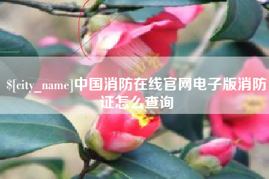 新野中国消防在线官网电子版消防证怎么查询
