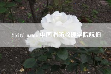 新野中国消防救援学院航拍
