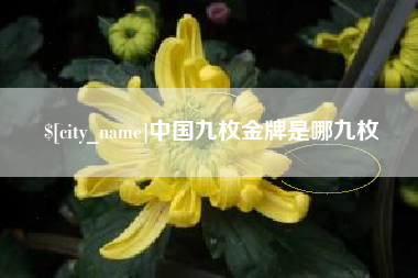 新野中国九枚金牌是哪九枚