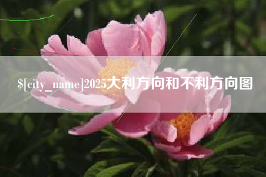 新野2025大利方向和不利方向图