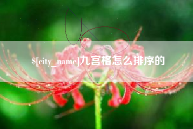 新野九宫格怎么排序的