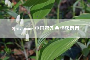新野中国第九金牌获得者