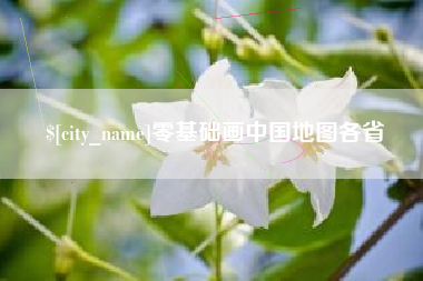 新野零基础画中国地图各省
