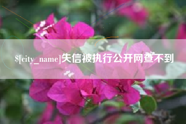 新野失信被执行公开网查不到