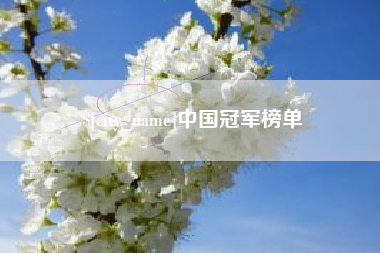 新野中国冠军榜单