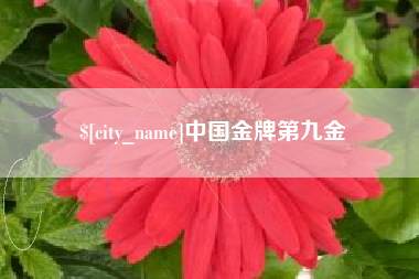 新野中国金牌第九金