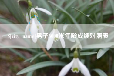 新野男子5000米年龄成绩对照表