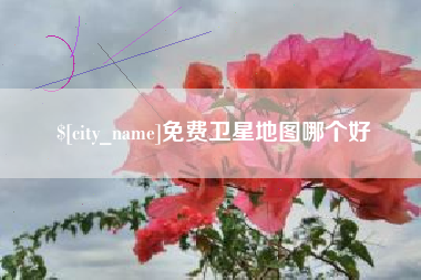 新野免费卫星地图哪个好