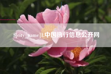 新野1.中国执行信息公开网