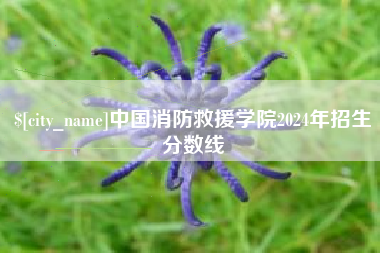 新野中国消防救援学院2024年招生分数线
