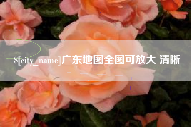 新野广东地图全图可放大 清晰