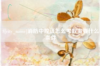 新野消防中控证怎么考取需要什么条件