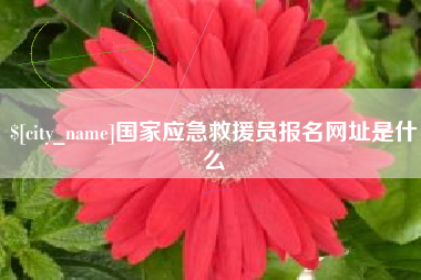 新野国家应急救援员报名网址是什么
