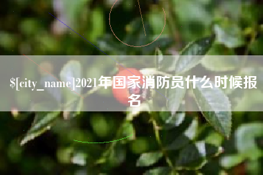 新野2021年国家消防员什么时候报名