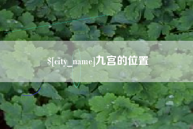 新野九宫的位置