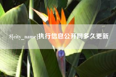 新野执行信息公开网多久更新